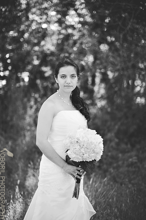 VanDriel414 copy